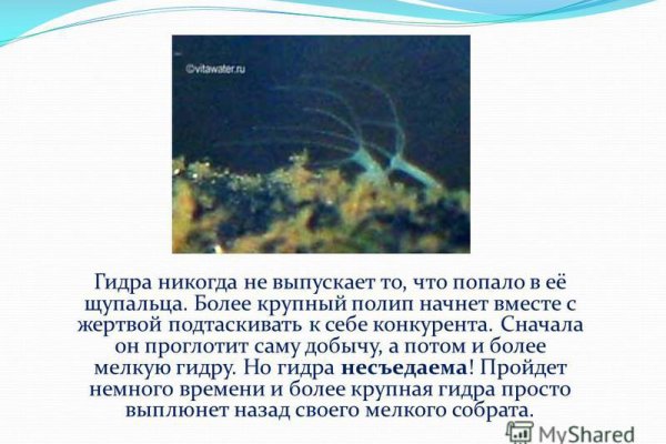 Кракен сайт продаж
